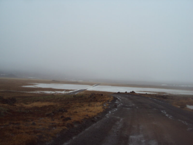DSC07501.JPG