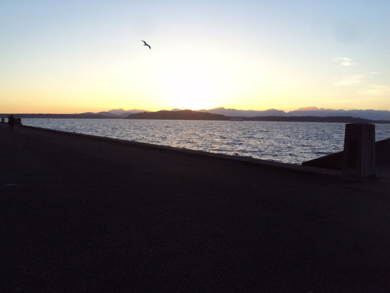 DSC03728.JPG