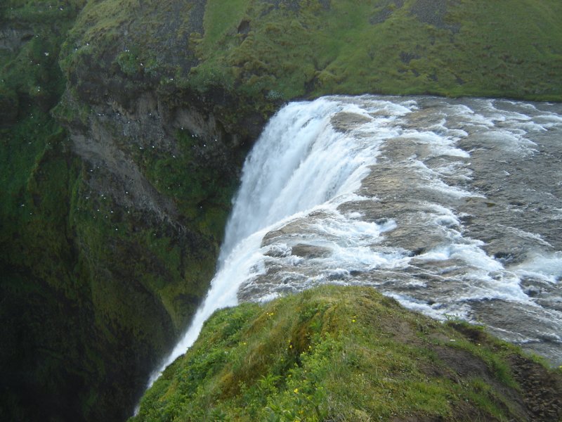 DSC08694.JPG