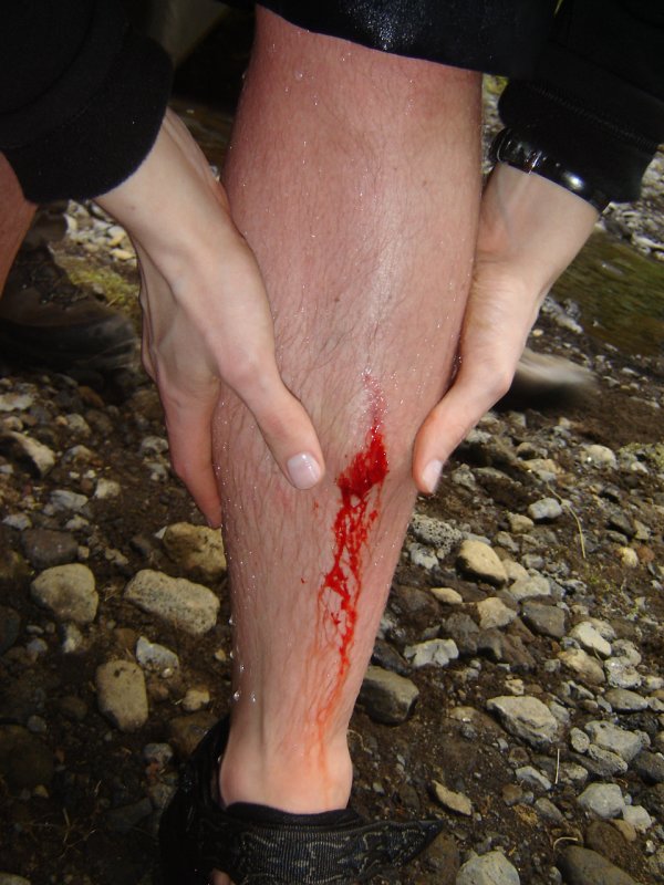 DSC09294.JPG