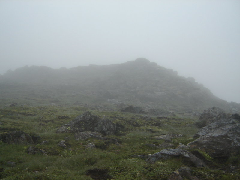 DSC09910.JPG