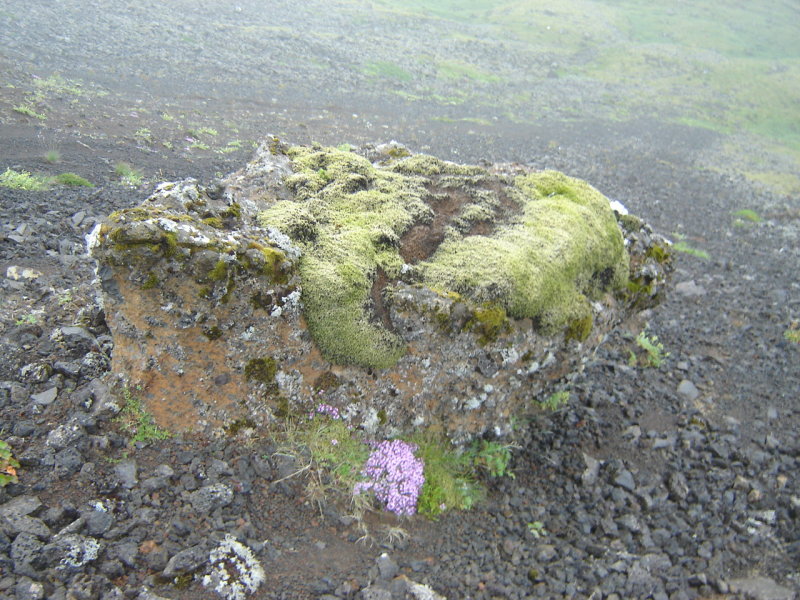 DSC09918.JPG
