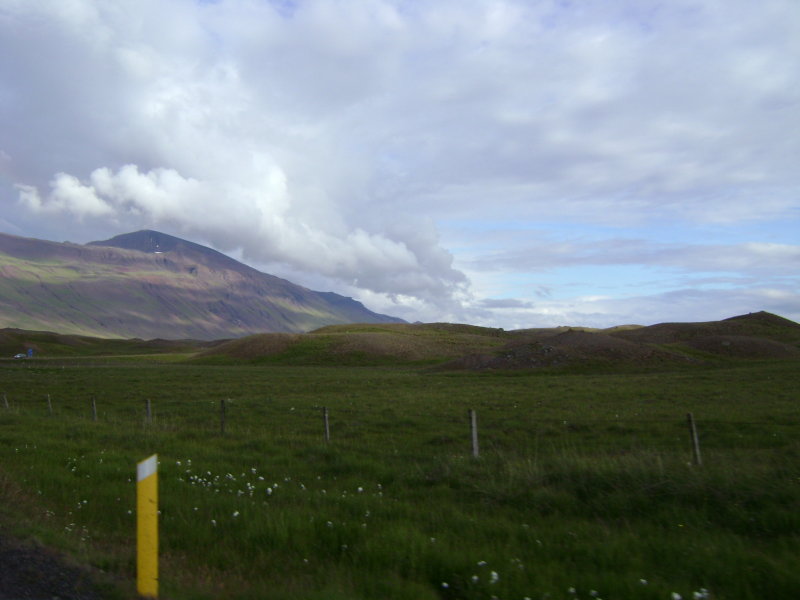 DSC00152.JPG
