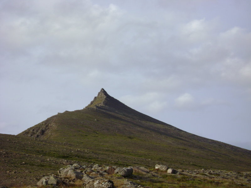 DSC00330.JPG