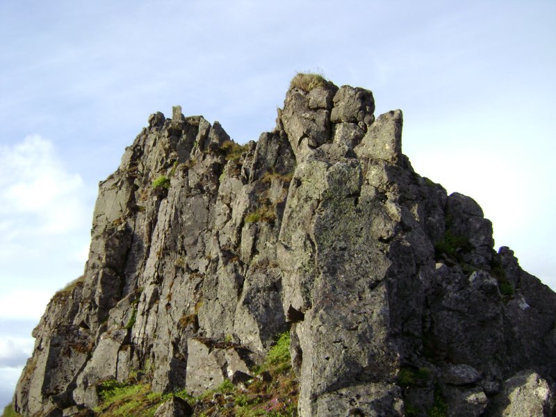 DSC00349.JPG