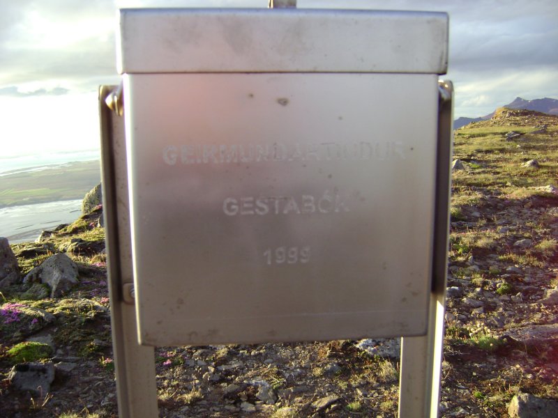 DSC00375.JPG