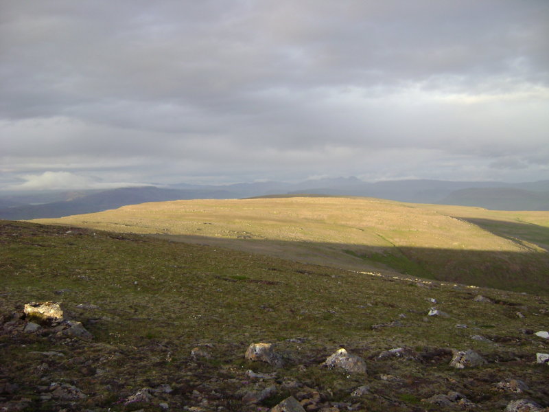 DSC00378.JPG