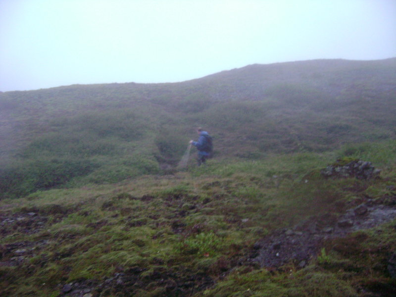 DSC02032.JPG