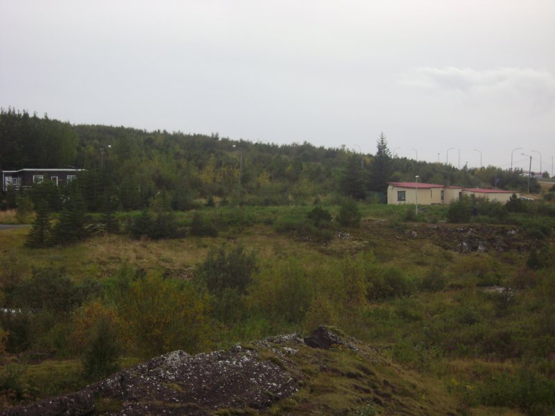 DSC02931.JPG