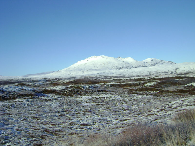DSC04783.JPG