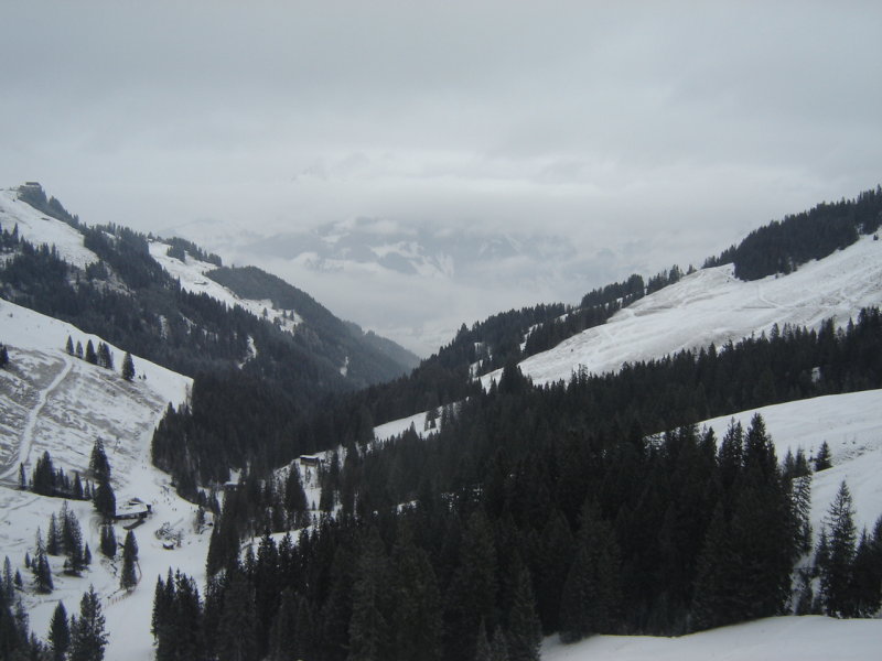 DSC04884.JPG