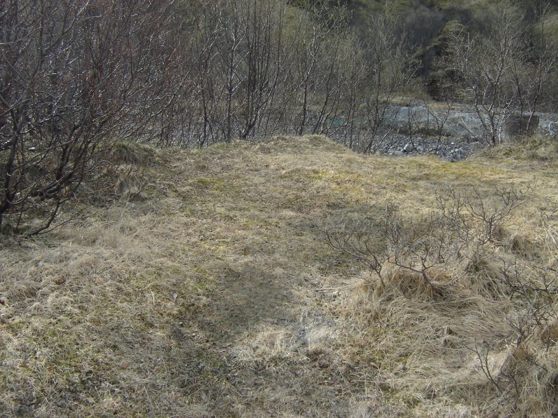 DSC06238.JPG