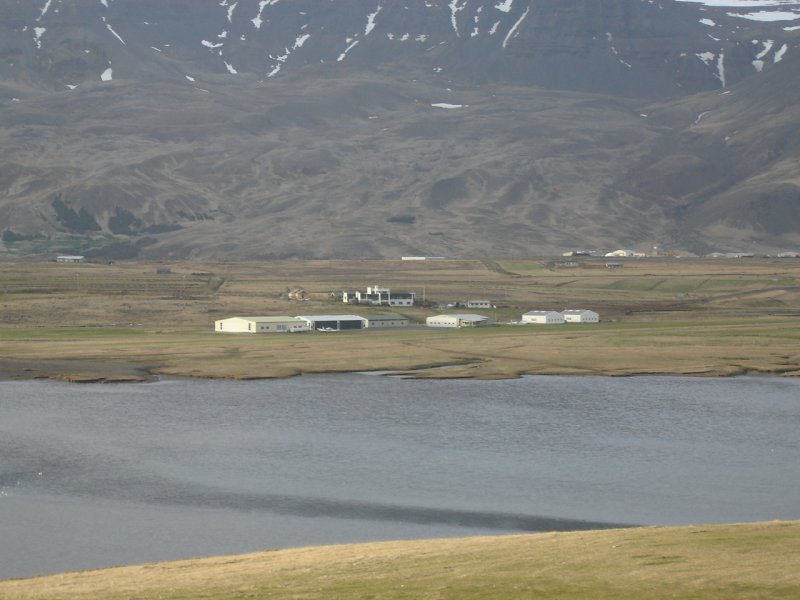 DSC06618.JPG