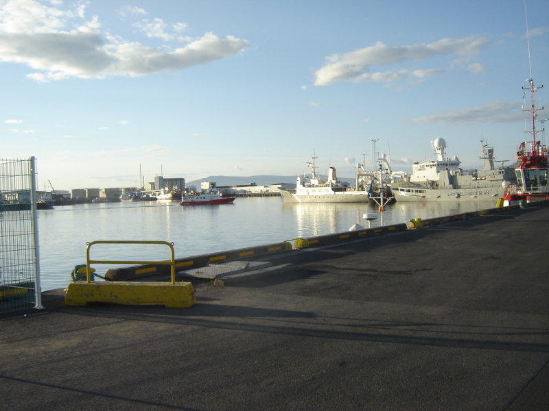 DSC07594.JPG