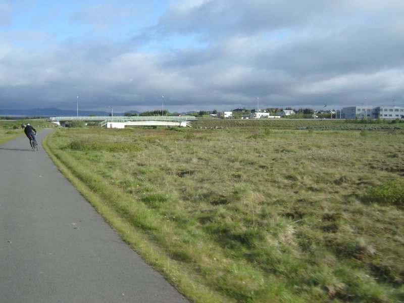 DSC08157.JPG