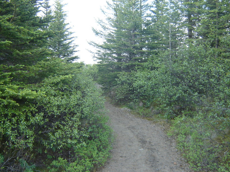 DSC08185.JPG