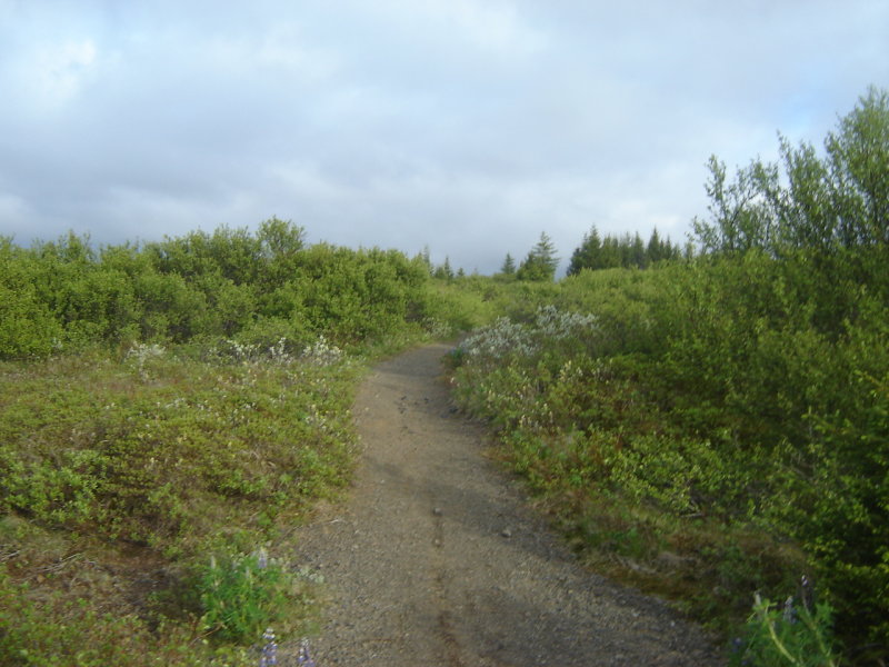 DSC08198.JPG