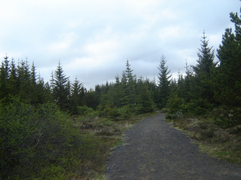 DSC08202.JPG