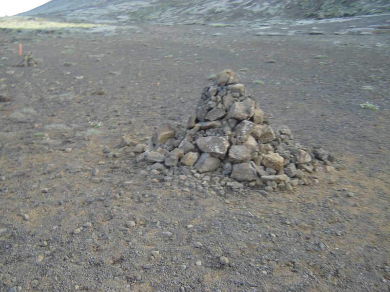 DSC08595.JPG