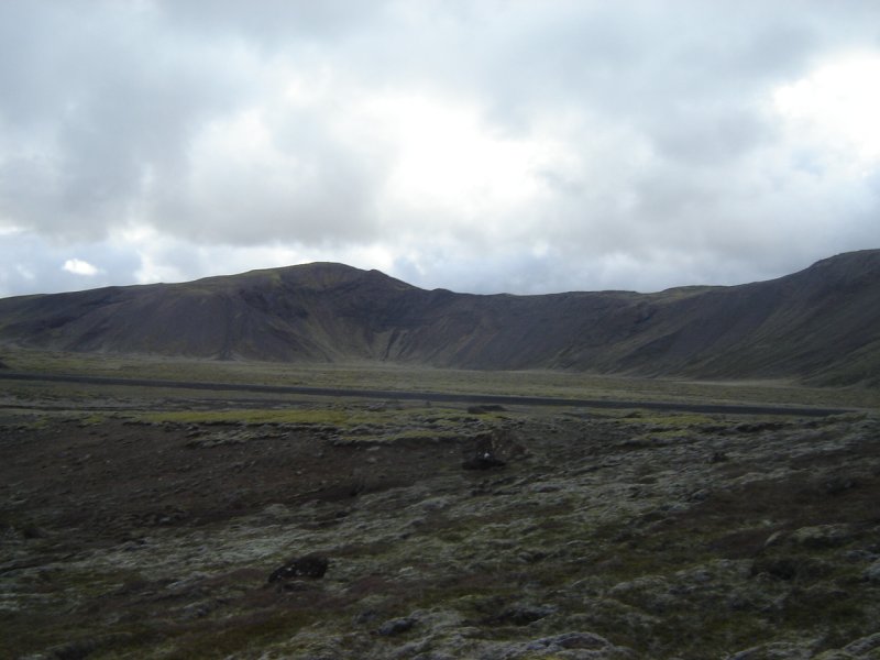 DSC07993.JPG