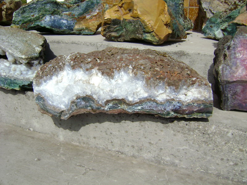 DSC01204.JPG