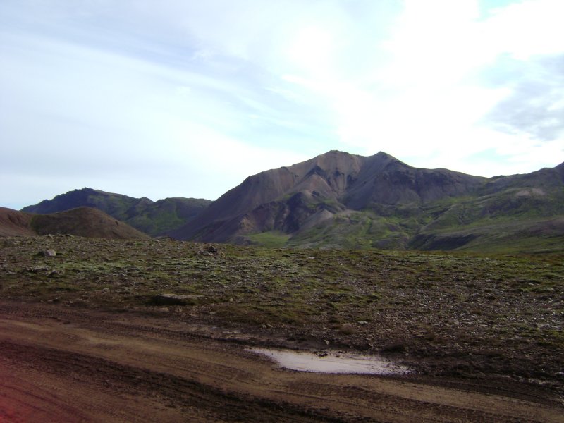 DSC01343.JPG