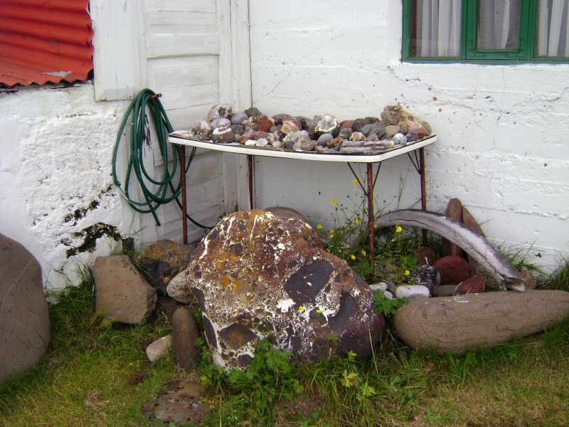 DSC01392.JPG