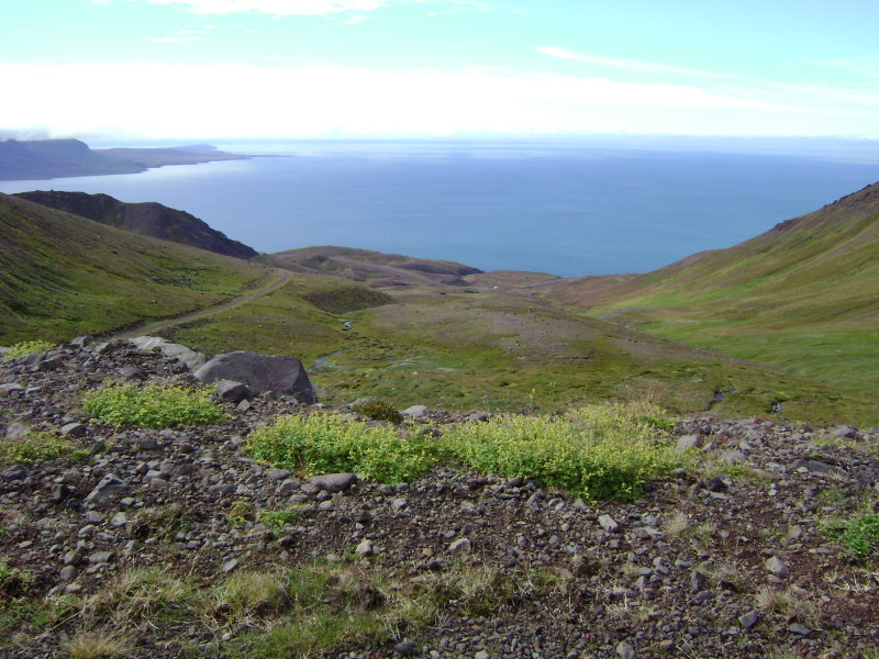 DSC01764.JPG