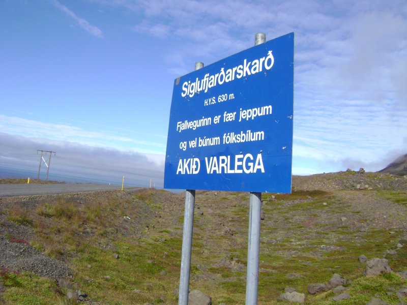 DSC01765.JPG