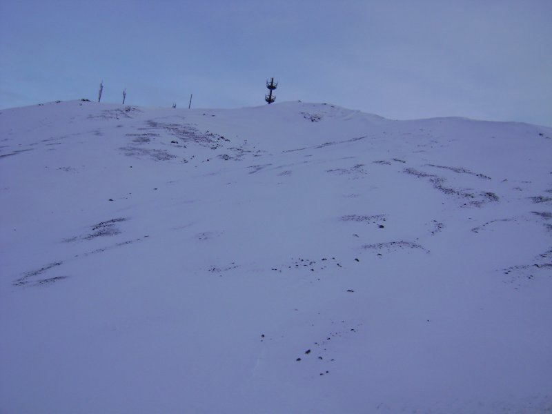 DSC06897.JPG