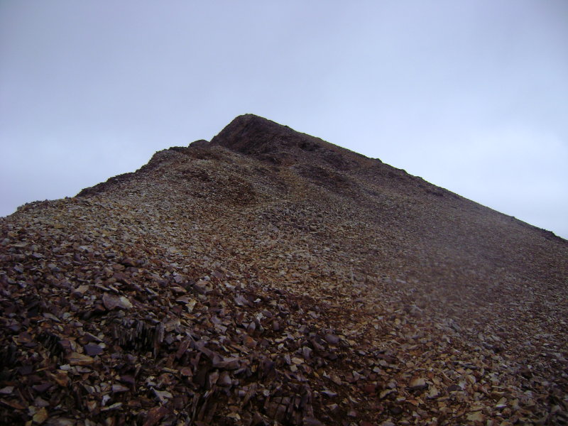 DSC09275.JPG