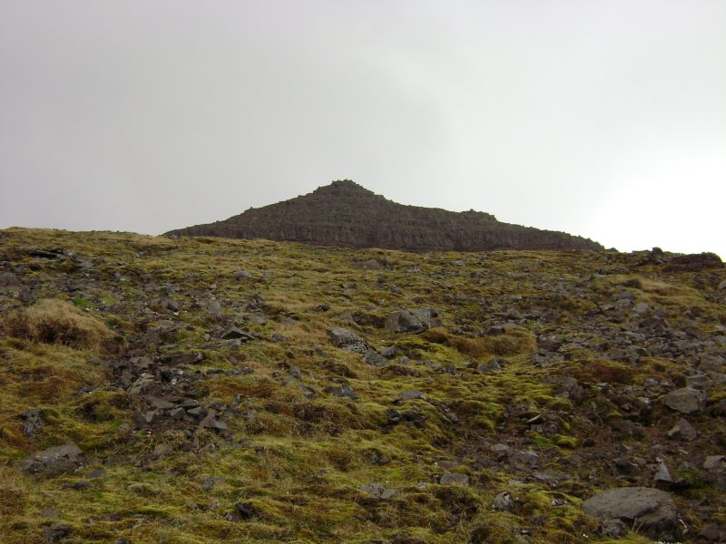 DSC09525.JPG
