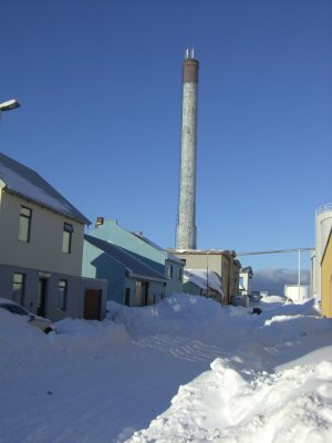 CIMG5119.JPG