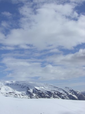 CIMG7136.JPG