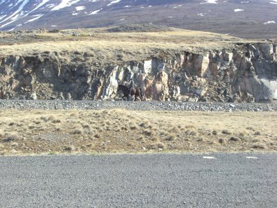CIMG7195.JPG