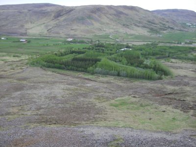 CIMG8645.JPG