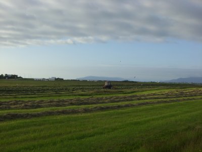 CIMG9983.JPG