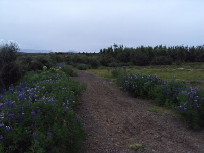 DSC05038.JPG
