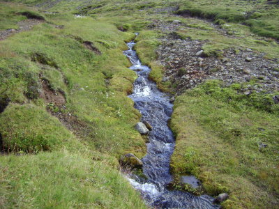 DSC02281.JPG
