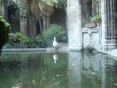 BCN 2006 116.jpg