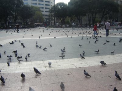 BCN 2006 376.jpg