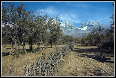 Arslanbob,  Fergana Valley