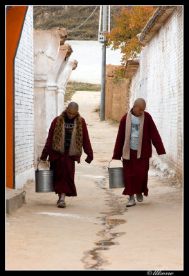 Monks