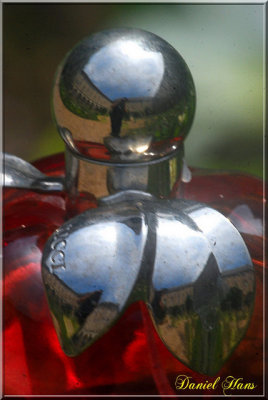 Parfums aux Prmontrs 09r 47-1.jpg