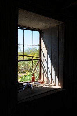 DSC_1104.JPG