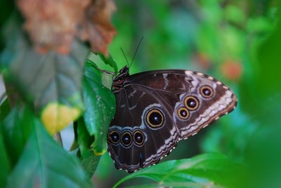 DSC_0802.JPG