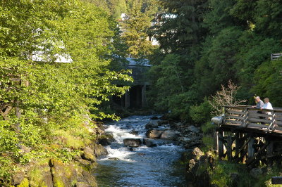 DSC_0527.JPG