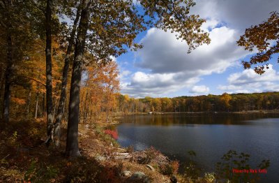 Saffin Pond