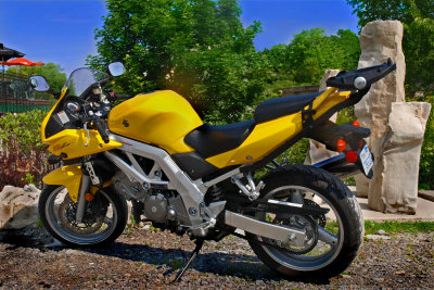 Suzuki_3.jpg