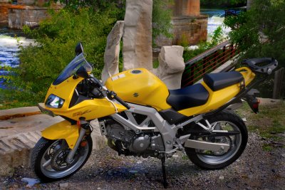 Suzuki_2.jpg